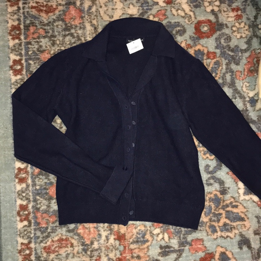 Brandy Melville Navy Blue Button Down Sweater